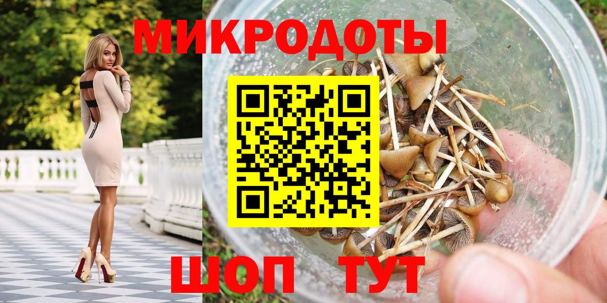 Галлюциногенные грибы Psilocybine cubensis  Вход с VPN  Кинешма 
